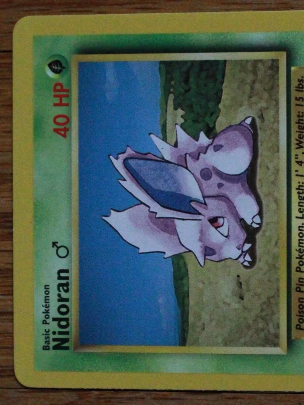 Vintage Pokemon 1999 